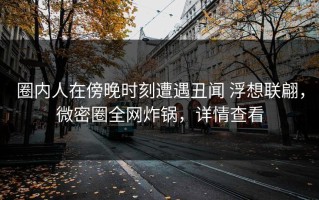 圈内人在傍晚时刻遭遇丑闻 浮想联翩，微密圈全网炸锅，详情查看