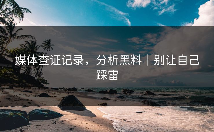 媒体查证记录，分析黑料｜别让自己踩雷