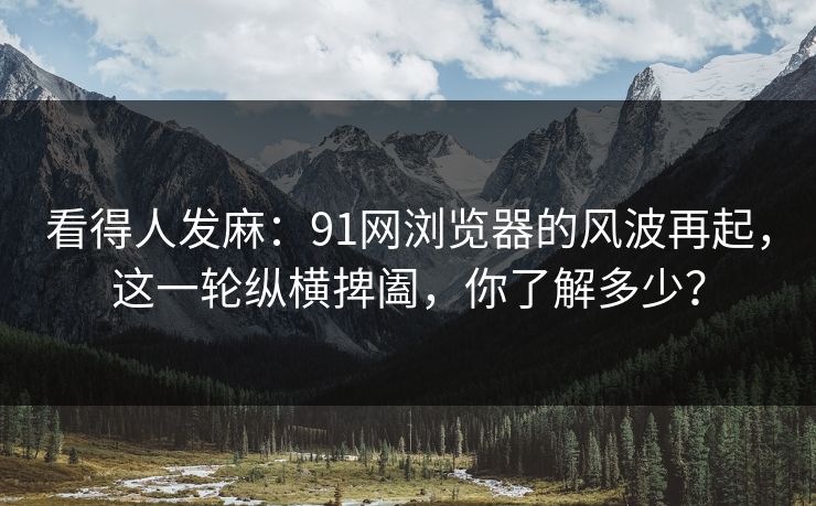 看得人发麻:91网浏览器的风波再起,这一轮纵横捭阖,你了解多少? 看得人发麻:91网浏览器的风波再起,这一轮纵横捭阖,你了解多少?