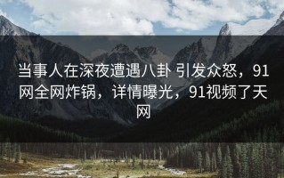 当事人在深夜遭遇八卦 引发众怒，91网全网炸锅，详情曝光，91视频了天网