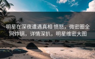 明星在深夜遭遇真相 愤怒，微密圈全网炸锅，详情深扒，明星维密大图