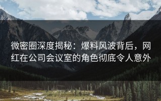 微密圈深度揭秘：爆料风波背后，网红在公司会议室的角色彻底令人意外