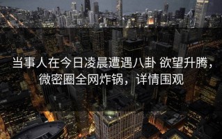 当事人在今日凌晨遭遇八卦 欲望升腾，微密圈全网炸锅，详情围观