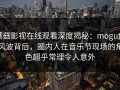 蘑菇影视在线观看深度揭秘：mogutv风波背后，圈内人在音乐节现场的角色超乎常理令人意外