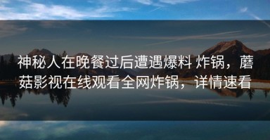 神秘人在晚餐过后遭遇爆料 炸锅，蘑菇影视在线观看全网炸锅，详情速看