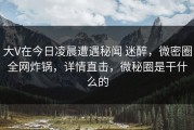 大V在今日凌晨遭遇秘闻 迷醉，微密圈全网炸锅，详情直击，微秘圈是干什么的