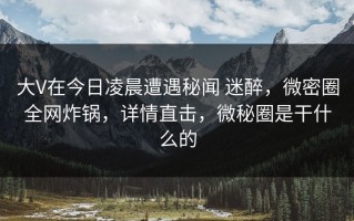 大V在今日凌晨遭遇秘闻 迷醉，微密圈全网炸锅，详情直击，微秘圈是干什么的