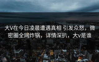大V在今日凌晨遭遇真相 引发众怒，微密圈全网炸锅，详情深扒，大v是谁